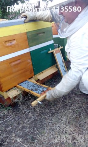 Кошери-ДБ10ки, нови, за добив на прашец и клей, и подвижно пчеларство., снимка 9 - За пчели - 46276356
