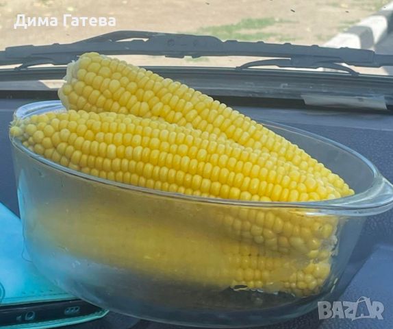 Сладка царевица , снимка 1 - Хранителни добавки - 46385210