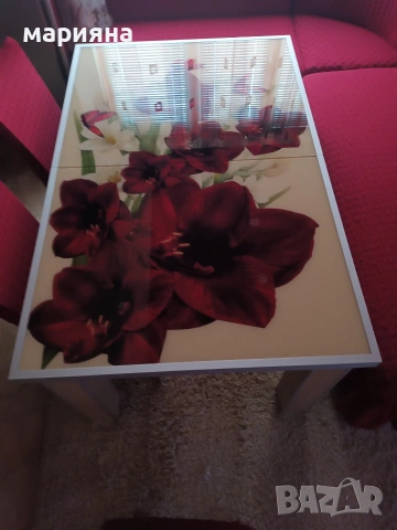 Трапезна маса с принт, снимка 2 - Маси - 53879950