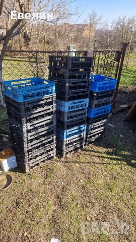 каси от кисело мляко