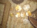 Продавам лот стари монети, снимка 1 - Нумизматика и бонистика - 45569240