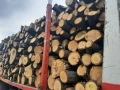 дърва за огрев метровки дъб , снимка 1