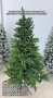 Коледна Елха, снимка 4