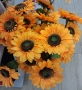 Големи слънчогледи с 3цвята, снимка 1
