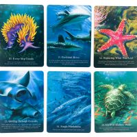 Оракул карти с животни: Divine Animals Oracle & Spirit Animal Wisdom & Whispers of the Ocean, снимка 15 - Карти за игра - 42292933