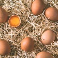 ХАЙПРО БЪЛГАРИЯ – производство на яйца и продажба на птици, снимка 1 - Домашни продукти - 45521727
