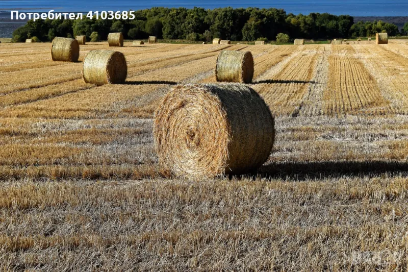 Продавам бали РОЛОНКИ от сено и слама, снимка 1