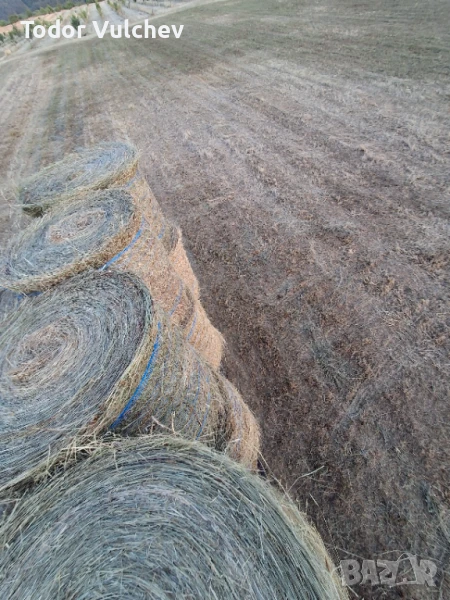 Сено, снимка 1