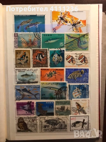 Класьор с марки предимно Фауна , снимка 12 - Филателия - 53513901