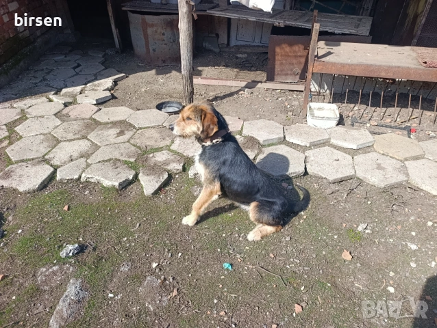  Барак женска