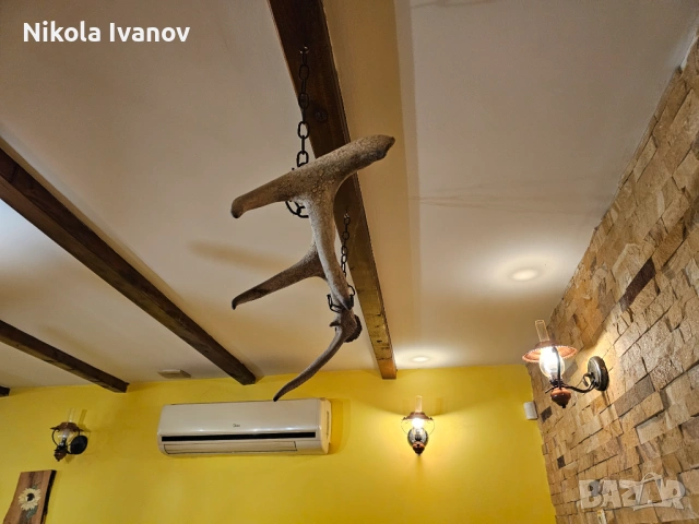 Автентичен рог от благороден елен (90 см) – идеален за декорация или полилей, снимка 5 - Декорация за дома - 53711976