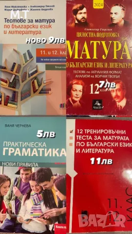 Помагала за подготовка за ДЗИ, снимка 1 - Учебници, учебни тетрадки - 46880966