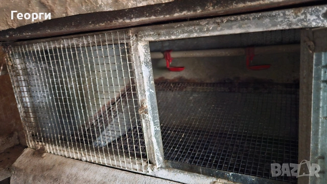 клетка за пъдпъдъци 