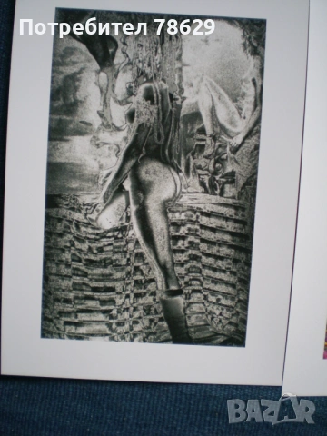 албум със снимки на голо тяло - уникати, снимка 3 - Колекции - 53937200