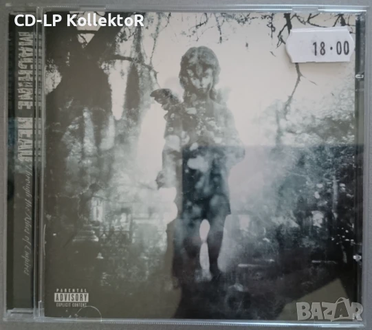 CD за продан (Machine Head - Through the Ashes of Empires), снимка 1