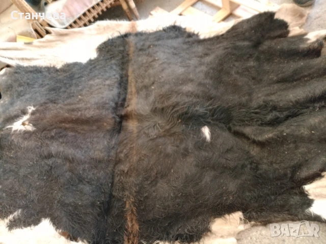 телешка кожа , снимка 2 - Декорация за дома - 53730609