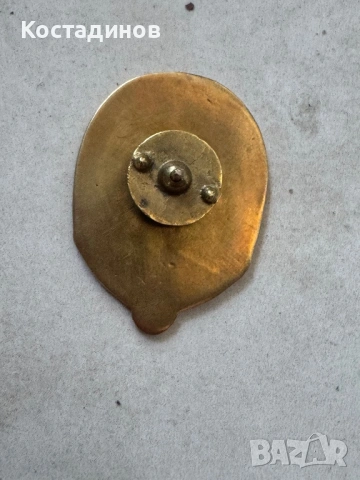 Значка Трети Райх, снимка 3 - Антикварни и старинни предмети - 53769964