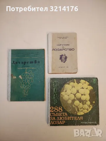 Лозарство - П. Куртев, Б. Цанков, Хр. Тодоров (1979), снимка 2 - Специализирана литература - 50232889