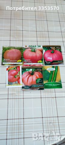 Разсад домати и краставици, готови за разсаждане!, снимка 4 - Разсади - 45208415