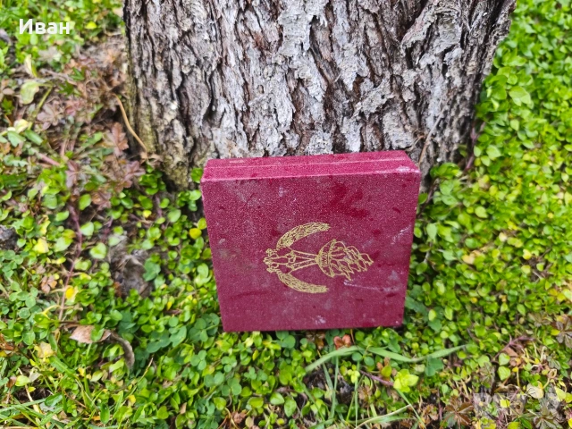 полски възпоменателен медал, значка на Спортния комитет на полската армия , снимка 7 - Нумизматика и бонистика - 53779196