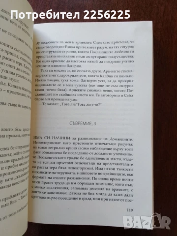 Посланическото градче , снимка 2 - Художествена литература - 50650454