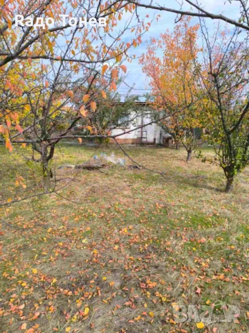 Дивдядово -Парцел с малка постройка - земеделска земя, снимка 3 - Парцели - 53995661