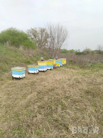 Кошери + центрофуга, снимка 2 - За пчели - 54257189