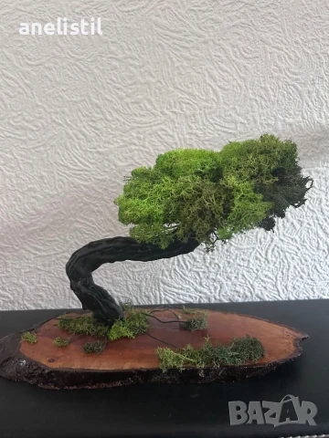 Уникални ръчно изработени дръвчета/бонсаи от скандинавски мъх, снимка 6 - Други - 50942869