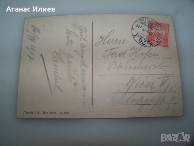 Стара пощенска картичка от Будапеща 1917г., снимка 4 - Филателия - 46716986