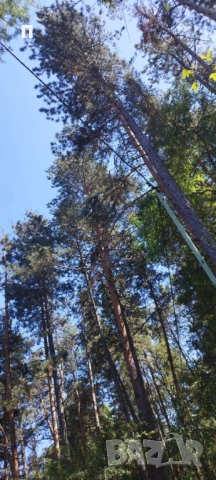 Бунгала Красота,язовир Искър , снимка 7 - Почивки на язовир - 53814101