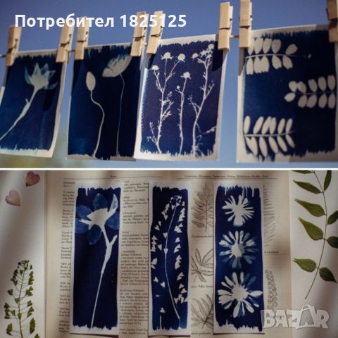 Материали за Цианотипия Cyanotype комплекти, разтвори, вещества, химия, снимка 2 - Декорация за дома - 45163868