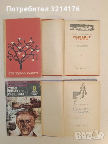 Великият Гетсби - Франсис Скот Фицджералд (1966, Отлично състояние), снимка 2 - Художествена литература - 54256087