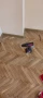 безпрахово циклене на паркет, снимка 3
