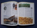 Енциклопедия История на Света Издателство Фют 2002 год., снимка 9