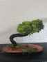 Уникални ръчно изработени дръвчета/бонсаи от скандинавски мъх, снимка 6