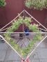 Вариегатна японска върба с геометрично оформление, снимка 14