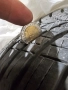 Всесезонни гуми 205/55/16 GOODYEAR, снимка 2