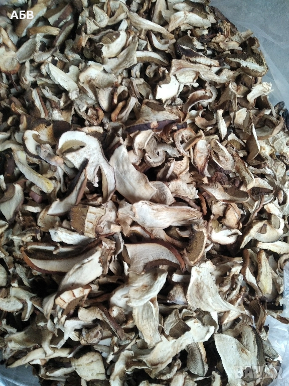 Прясна и суха борова манатарка, пачи крак!, снимка 1