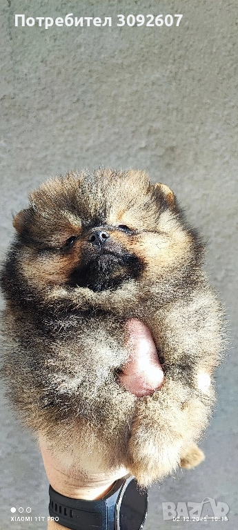 Момчета и момичета , снимка 1