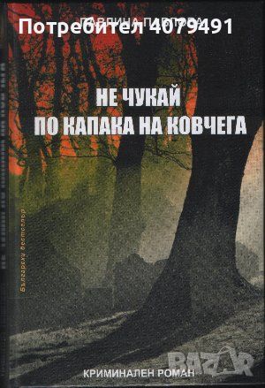 Не чукай по капака на ковчега Мрачни стихове за меланхолични - Павлина Павлова, снимка 1