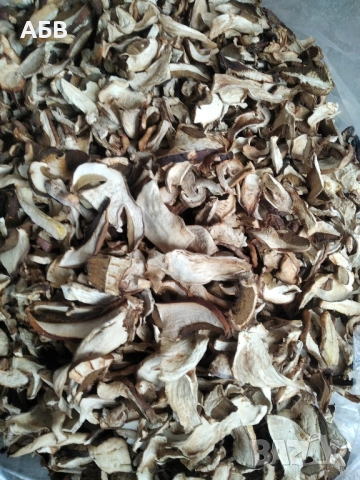 Прясна и суха борова манатарка, пачи крак!