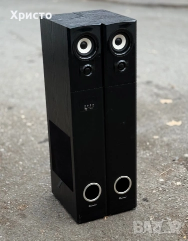 Тонколони THUNDER THS-P01BT, 2.0, 100W (50W + 50W), FM Radio, Bluetooth, USB, Слот за SD карти