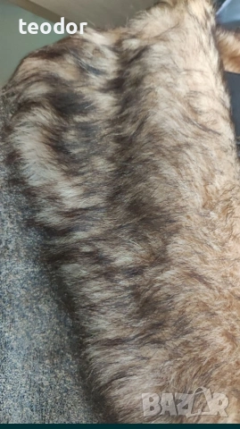 Дълго палто от естествена кожа, снимка 6 - Палта, манта - 53432436