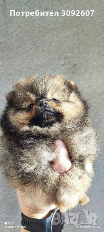 Момчета и момичета 