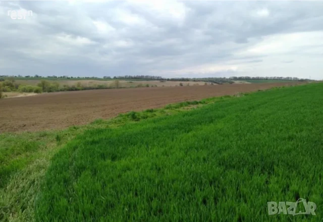 Продава ЗЕМЕДЕЛСКА ЗЕМЯ, гр. Шумен, област Шумен, снимка 1