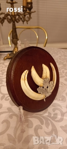 Красиви немски трофеи диво прасе, документ, трофей, снимка 2 - Колекции - 44200959