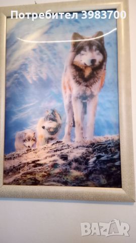 Картина изобразяваща три вълка  , снимка 1