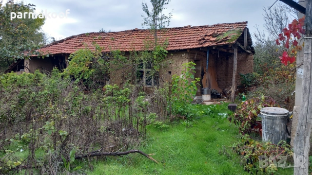КЪЩТА В СЕЛО СЛАВЯНОВО ХАСКОВО , снимка 5 - Къщи - 52329824