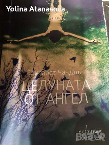 Книги, снимка 3 - Художествена литература - 49531425