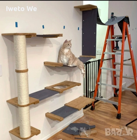 Котешки катерушки, аксесоари, легалца , снимка 5 - За котки - 53585315